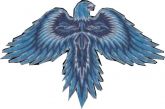 Camisa Fênix Azul